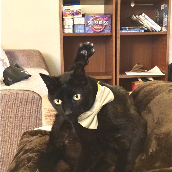 Meet your Posher, Anaïs - Picture 8 of 8